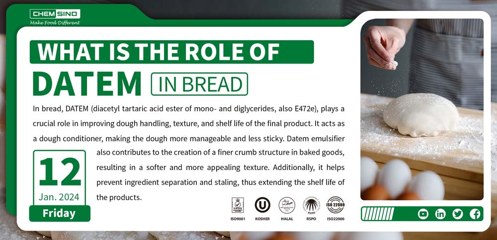 What Is The Role of Datem In Bread